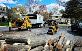 Best Lot and Land Clearing  in Keyport, NJ