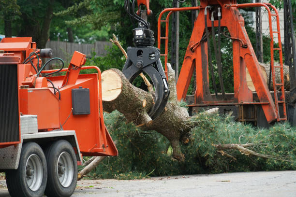 Best Seasonal Cleanup (Spring/Fall)  in Keyport, NJ